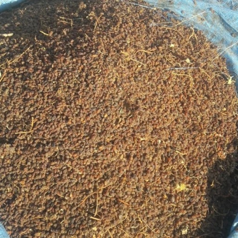 کشمش فروشی