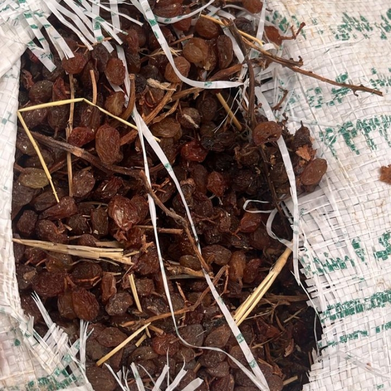 کشمش تیزآبی