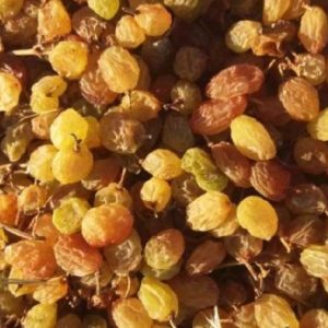 کشمش تیزآبی درجه یک