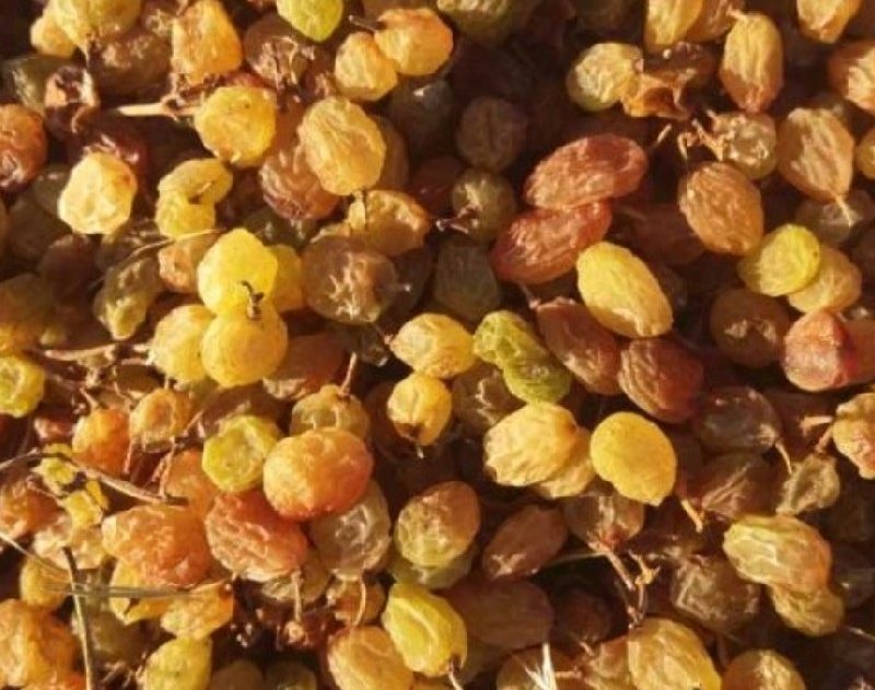 کشمش تیزآبی درجه یک
