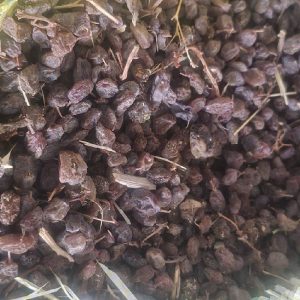 خرید کشمش آفتابی ۱۵ روزه