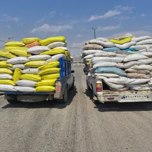 خرید کشمش آفتابی و تیزابی