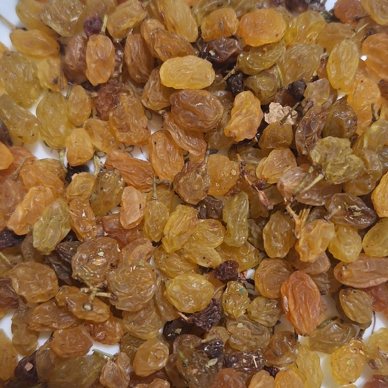کشمش گلدن