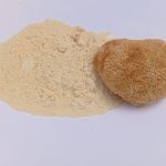 قارچ یال شیر