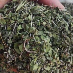 خرید و فروش آویشن درجه یک
