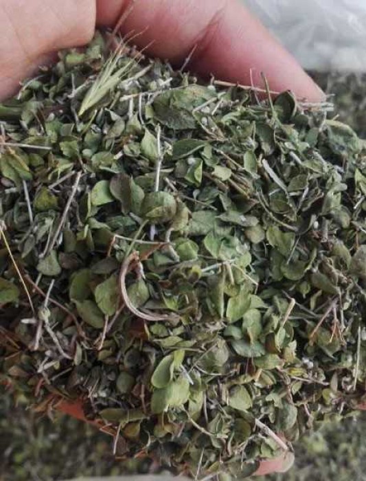 خرید و فروش آویشن درجه یک