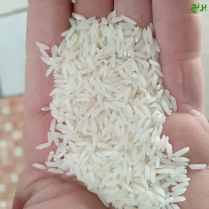 برنج طارم هاشمی