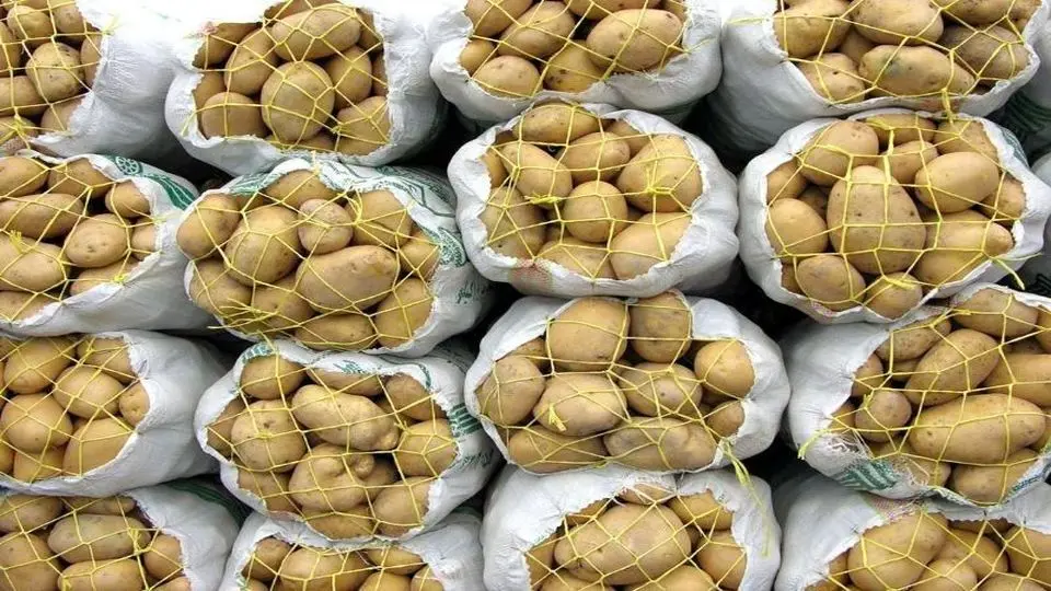 خرید سیب‌زمینی جهاد کشاورزی