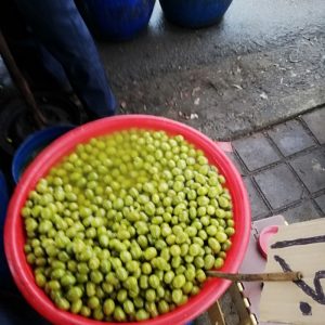 زیتون رویال طارم