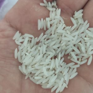 برنج طارم هاشمی آمل