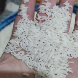 برنج طارم هاشمی