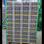 کیوی درجه یک صادراتی و داخلی