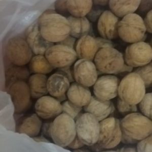 گردو محلی پوست نازک