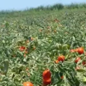 آب وزمین کشاورزی